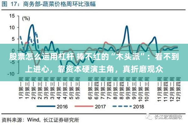 股票怎么运用杠杆 捧不红的“木头派”：看不到上进心，靠资本硬演主角，真折磨观众