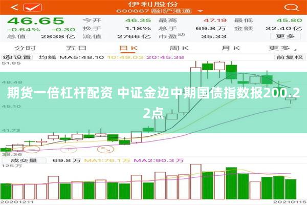 期货一倍杠杆配资 中证金边中期国债指数报200.22点