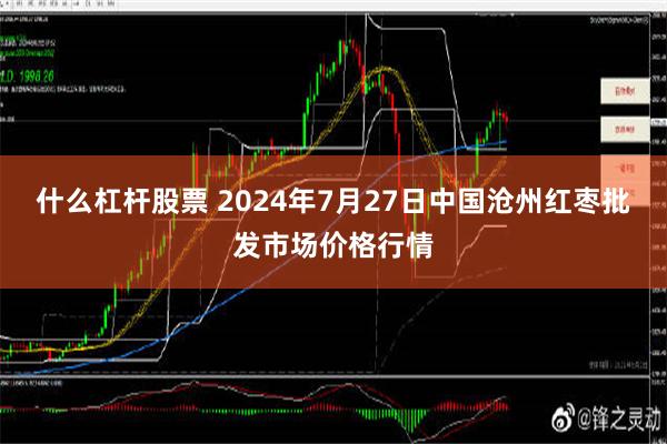 什么杠杆股票 2024年7月27日中国沧州红枣批发市场价格行情