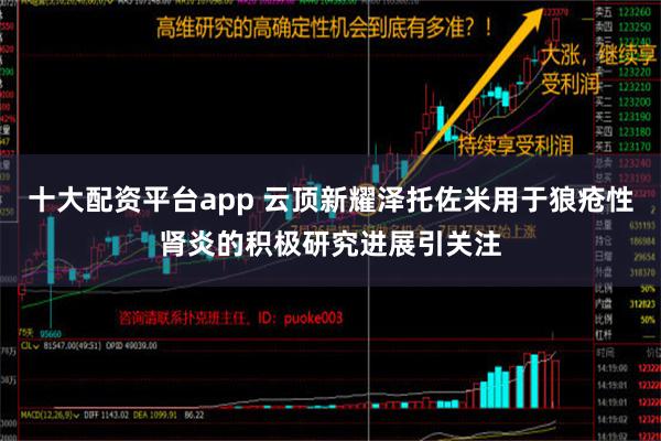 十大配资平台app 云顶新耀泽托佐米用于狼疮性肾炎的积极研究进展引关注