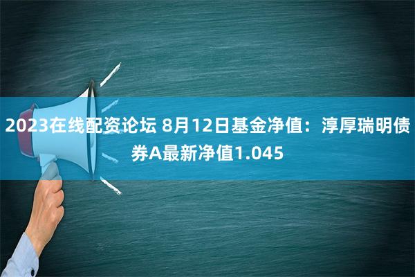 2023在线配资论坛 8月12日基金净值：淳厚瑞明债券A最新净值1.045