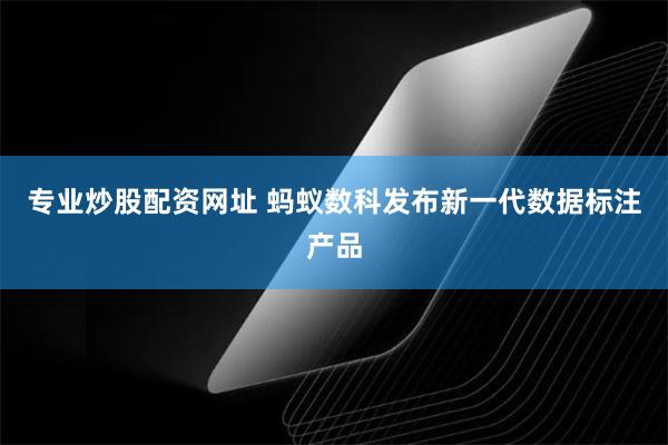 专业炒股配资网址 蚂蚁数科发布新一代数据标注产品