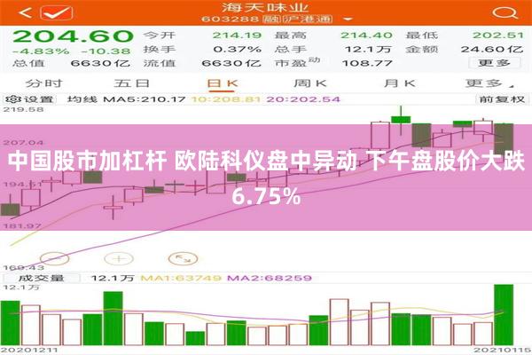 中国股市加杠杆 欧陆科仪盘中异动 下午盘股价大跌6.75%