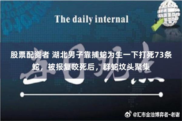 股票配资者 湖北男子靠捕蛇为生一下打死73条蛇，被报复咬死后，群蛇坟头聚集