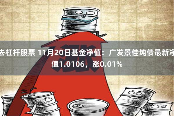 去杠杆股票 11月20日基金净值：广发景佳纯债最新净值1.0106，涨0.01%