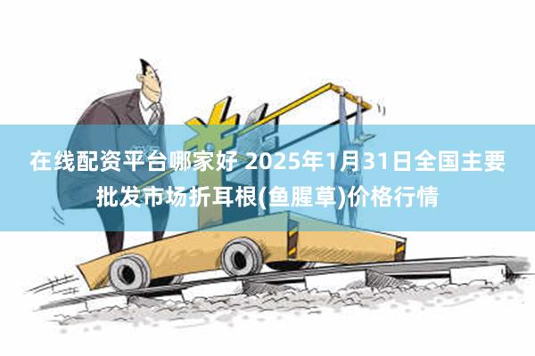 在线配资平台哪家好 2025年1月31日全国主要批发市场折耳根(鱼腥草)价格行情